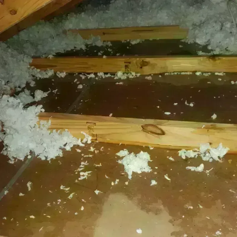 Attic Water Damage in Olivette, MO